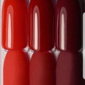 DELARO Basic Collection - Imagen 3